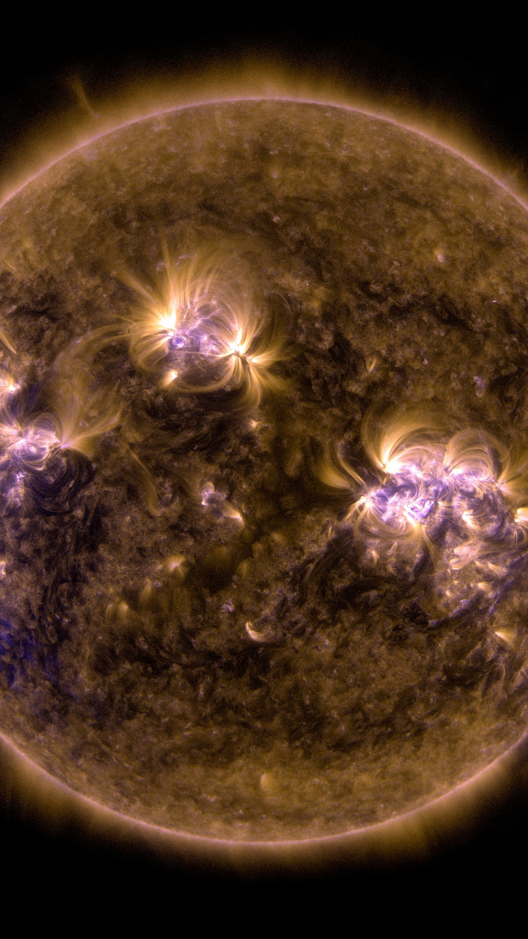 Слънцето през SDO, 24 февруари 2014 г. Условни цветове; архивен контекст, не измерване на Solar Orbiter.